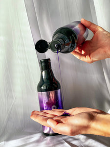 Shampoo anti-solfato anti-giallo di cocochoco + condizionatore argento touch 2x 500ml